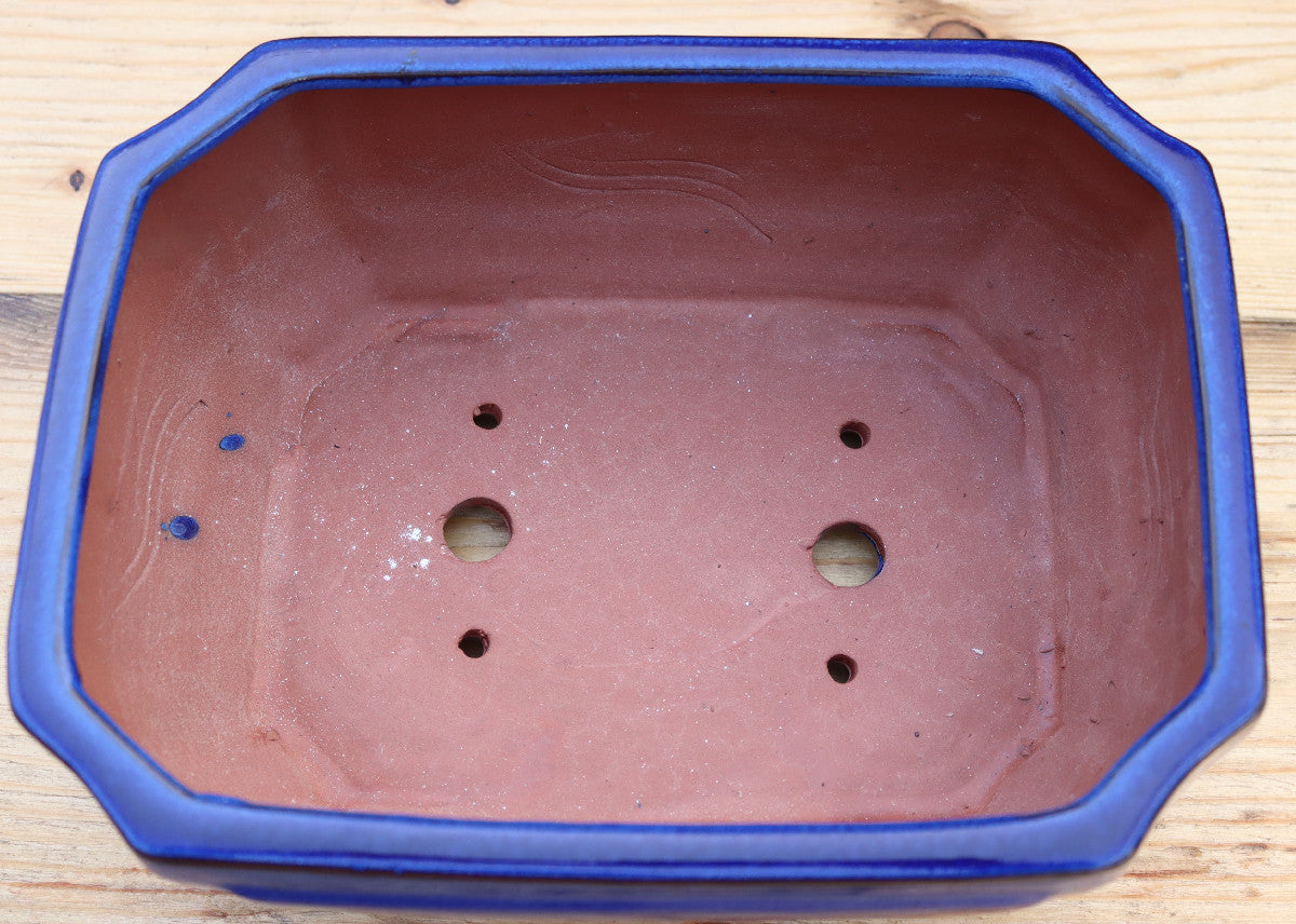 10.6" (27cm) Rectangular Blue Glazed Bonsai Plant Pot | Slip Cast Ceramic
