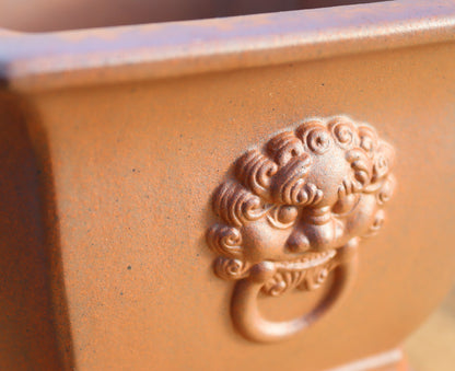 8" (20cm) Wood-Fired Square Bonsai Pot | Unglazed Stoneware