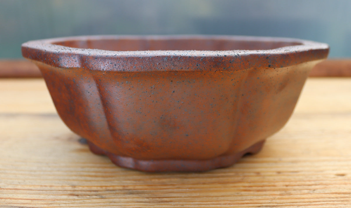 9.5" (24cm) Wood-Fired Round Bonsai Pot | Unglazed Stoneware