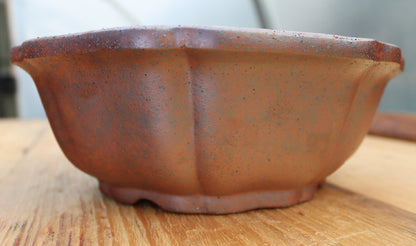 9.5" (24cm) Wood-Fired Round Bonsai Pot | Unglazed Stoneware