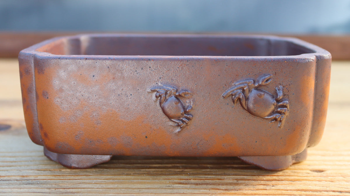 6.3" (16cm) Wood-Fired Rectangular Bonsai Pot | Unglazed Stoneware