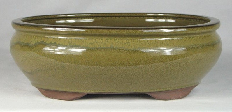 Olive Glazed Oval Bonsai Pot - 8" - Colour and pattern may vary to some degree from that shown.