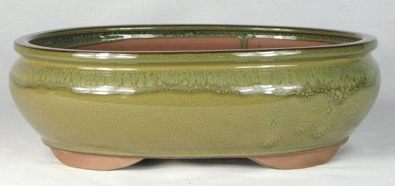 Olive Glazed Oval Bonsai Pot - 12" 