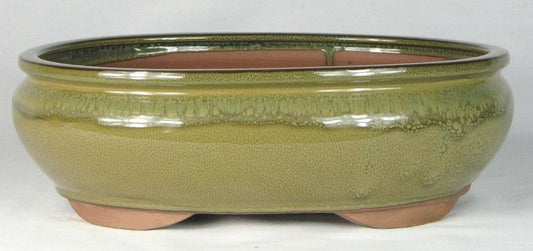 Olive Glazed Oval Bonsai Pot - 12" 