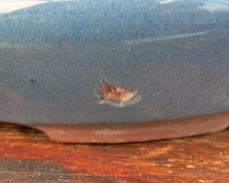 Glazed Bonsai Pots Set x 3 - Used / Seconds