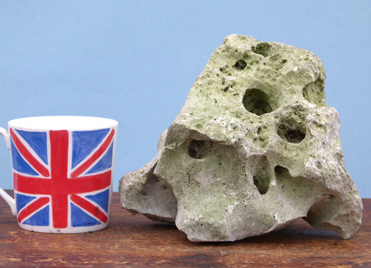 Water Worn Limestone Bonsai Planting Rock, Bonsai Landscape - Saikei