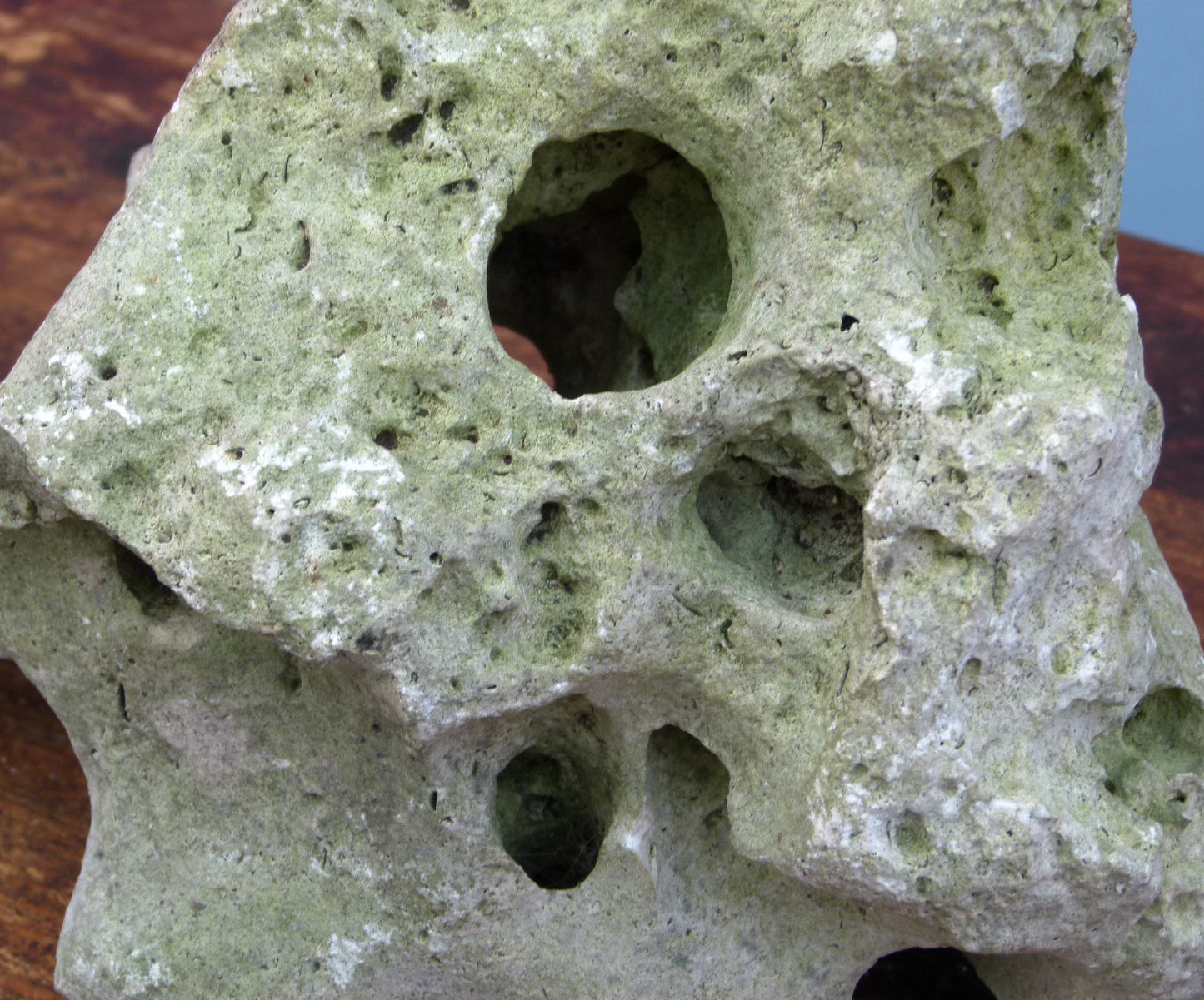 Water Worn Limestone Bonsai Planting Rock, Bonsai Landscape - Saikei