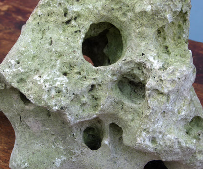 Water Worn Limestone Bonsai Planting Rock, Bonsai Landscape - Saikei