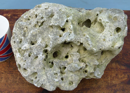 Water Worn Limestone Bonsai Planting Rock, Bonsai Landscape - Saikei