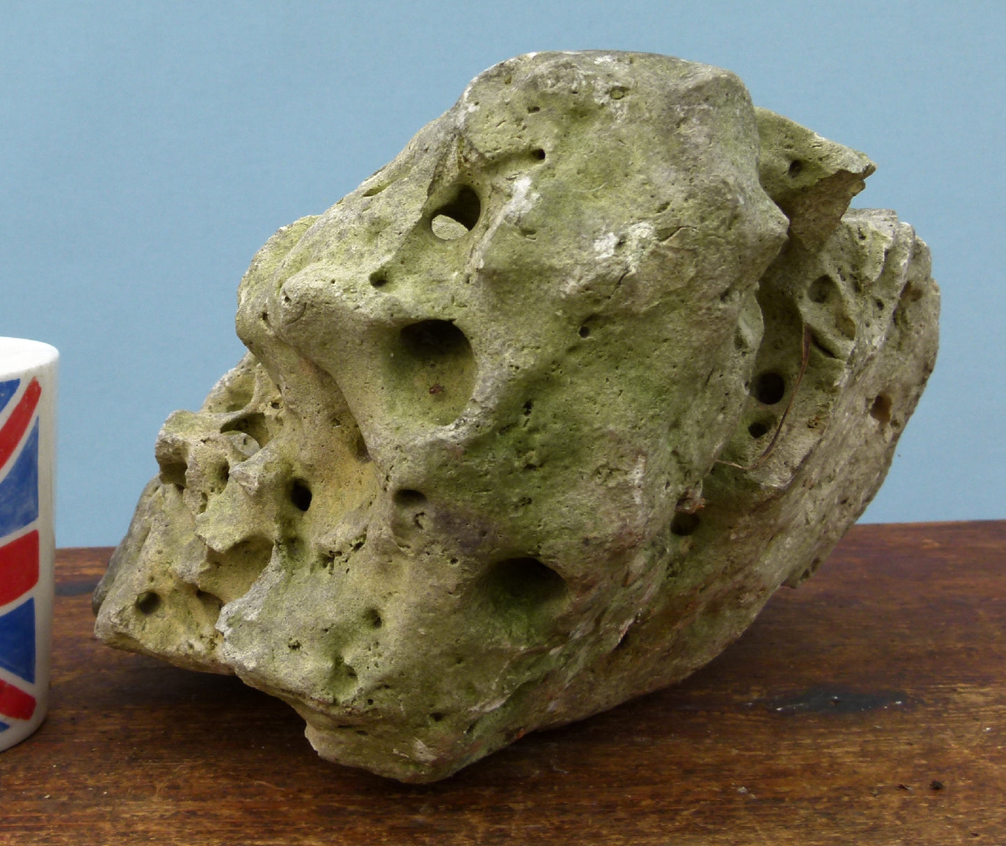 Water Worn Limestone Bonsai Planting Rock, Bonsai Landscape - Saikei