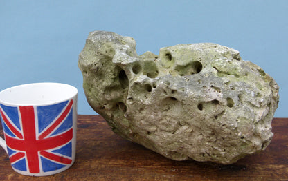 Water Worn Limestone Bonsai Planting Rock, Bonsai Landscape - Saikei