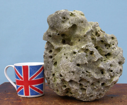 Water Worn Limestone Bonsai Planting Rock, Bonsai Landscape - Saikei