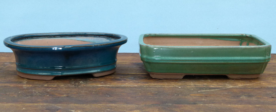 Two ceramic bonsai pots, one blue and one green, on a wooden surface with a light blue background.