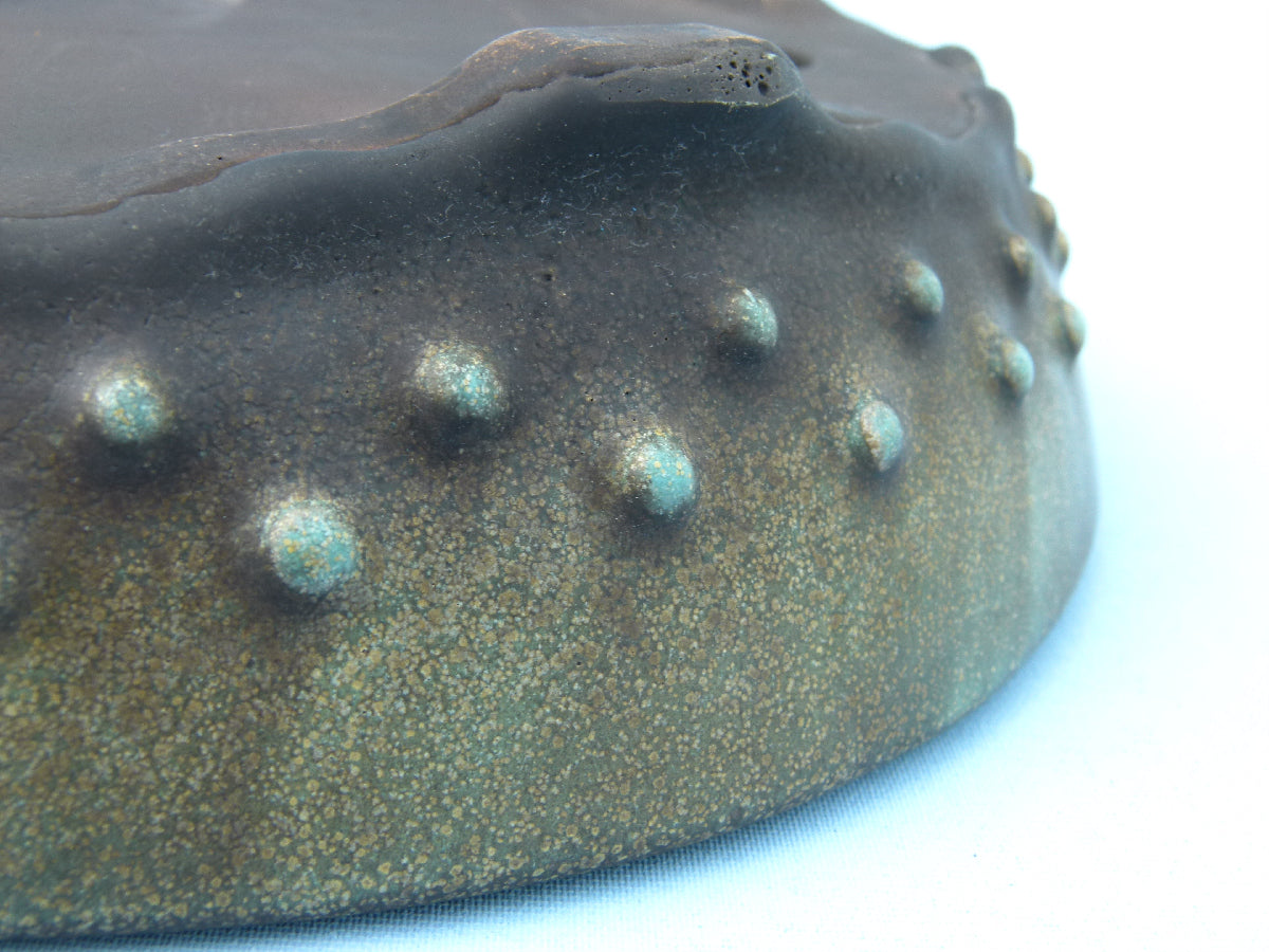 Close-up of a textured surface with raised circular elements