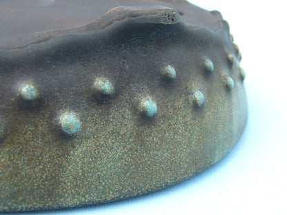 Close-up of a textured surface with raised circular elements