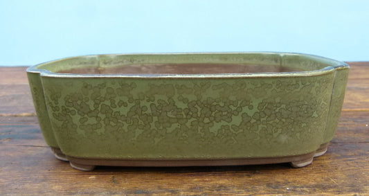 Japanese Glazed Rectangular Bonsai Pot - Used
