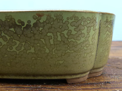 Japanese Glazed Rectangular Bonsai Pot - Used
