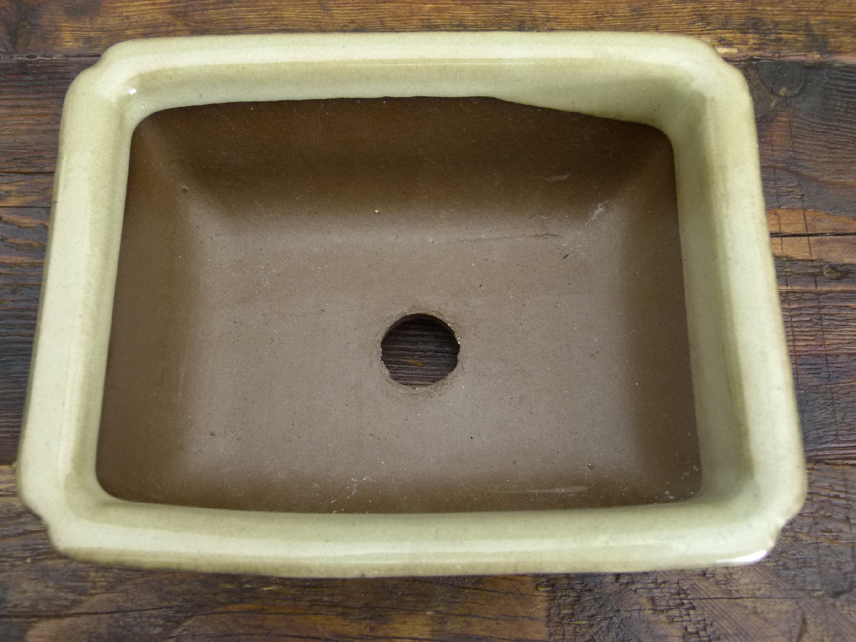Cream Glazed Rectangular Bonsai Pot - 6"