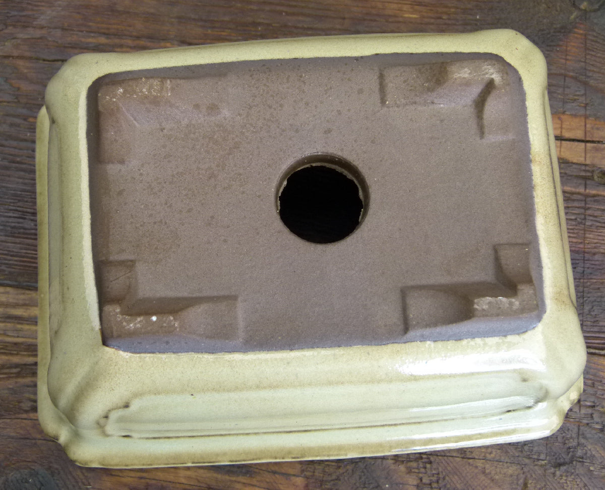 Cream Glazed Rectangular Bonsai Pot - 6"