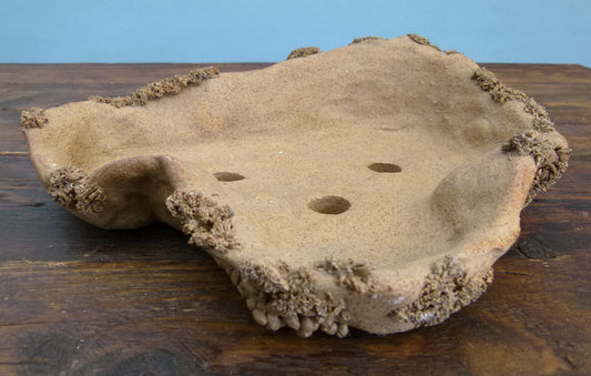 Informal Nanban Bonsai Pot 10"