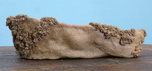 Informal Nanban Bonsai Pot 10"