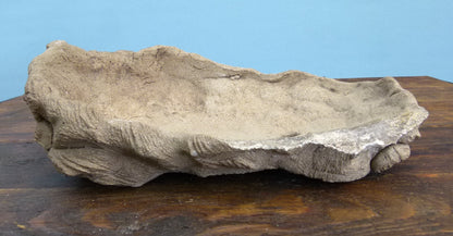 Informal Unglazed Bonsai Pot - Kurama Pot 12" - Used