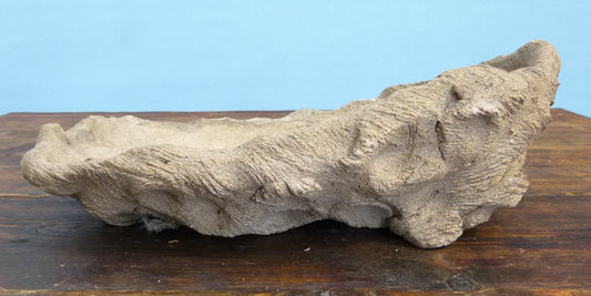 Informal Unglazed Bonsai Pot - Kurama Pot 12" - Used