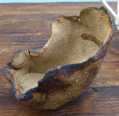 Informal Unglazed Bonsai Accent Pots x 3 - Used