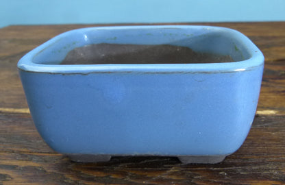Glazed Bonsai Pots x 3 - Used