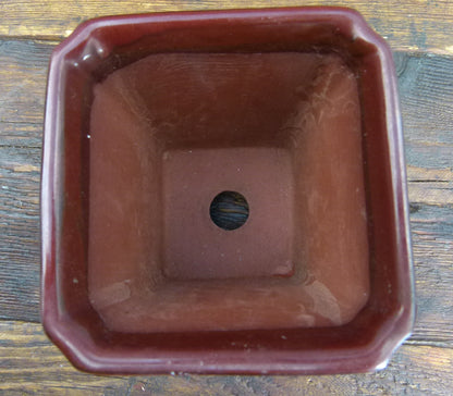 Japanese Deep Square Glazed Bonsai Pot - 4" - USED