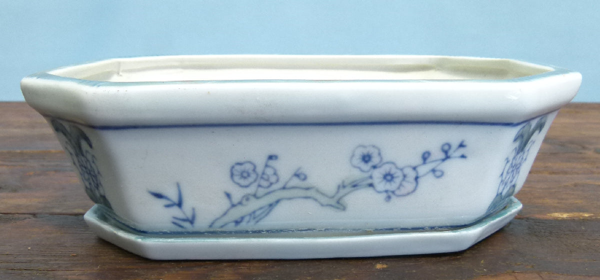 Glazed Rectangular Porcelain Bonsai Pot & Drip Tray - USED