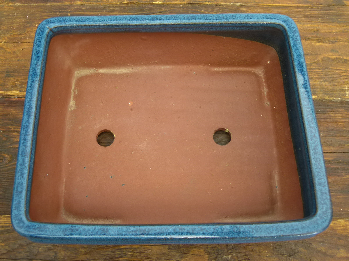 Rectangular Glazed Bonsai Pot 9.5" -  Used