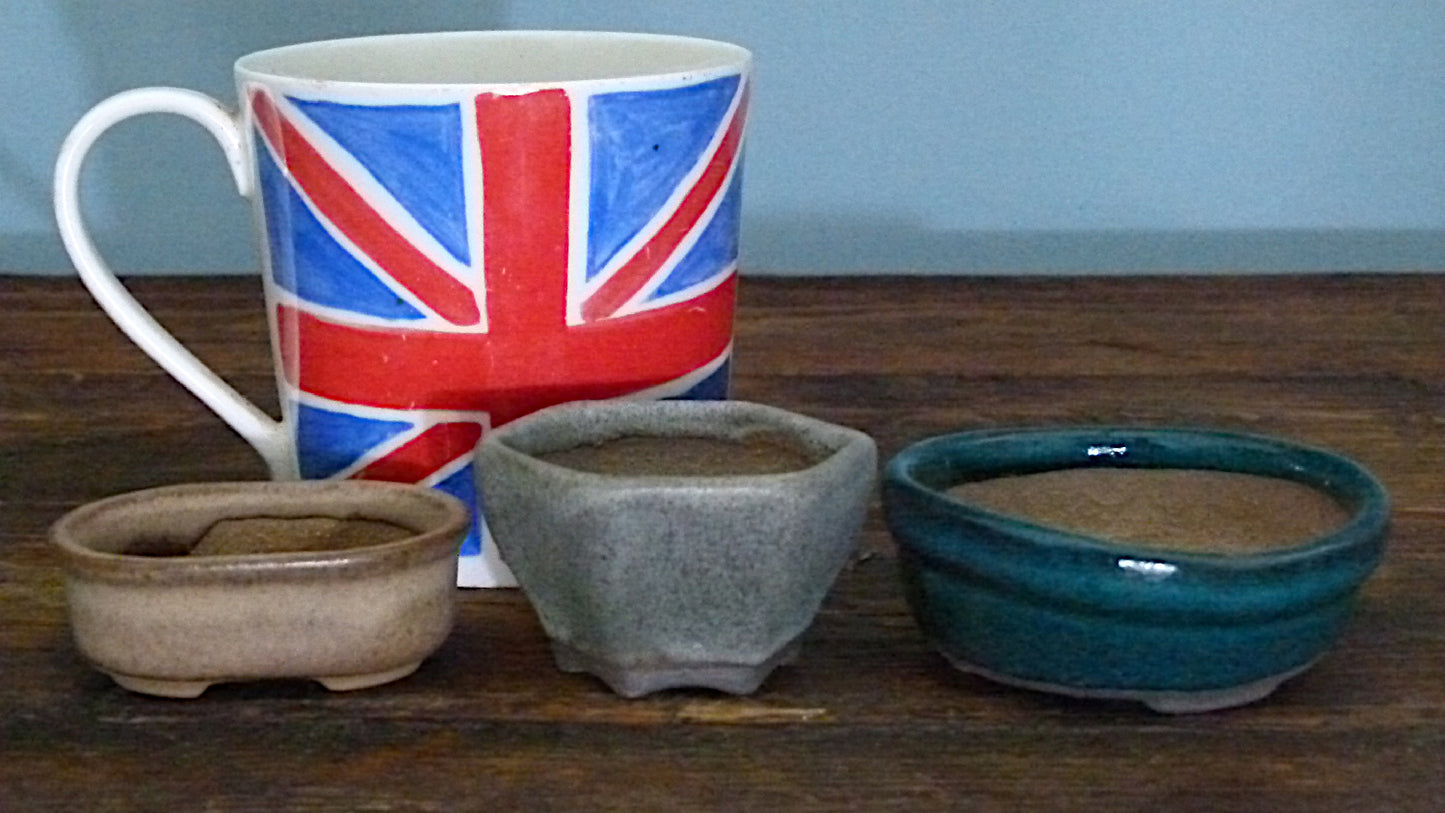 Glazed Small Bonsai Pots x 3 - Used