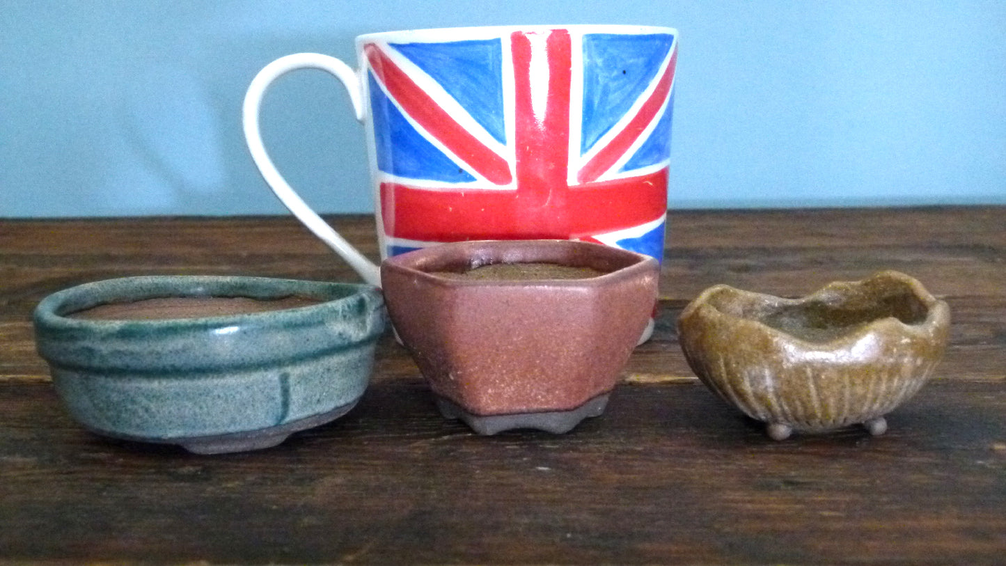 Glazed Small Bonsai Pots x 3 - Used