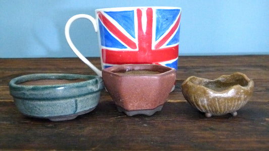Glazed Small Bonsai Pots x 3 - Used