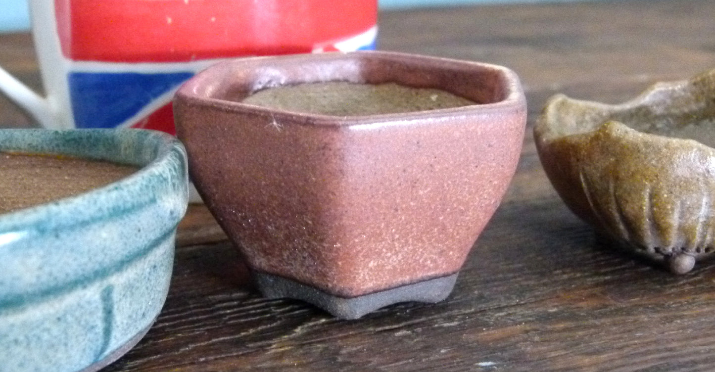 Glazed Small Bonsai Pots x 3 - Used