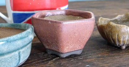 Glazed Small Bonsai Pots x 3 - Used