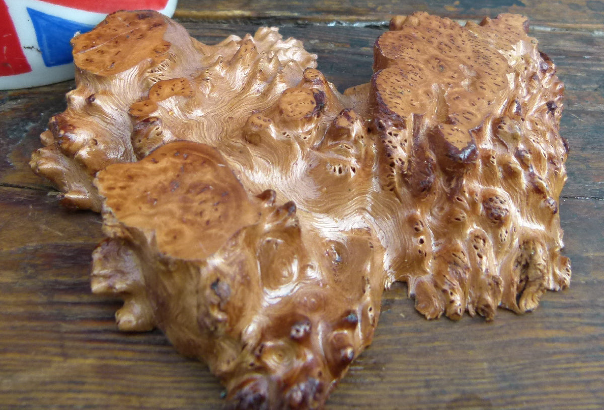 Burr Slab - Bonsai / Accent Plant Display Stand Burl