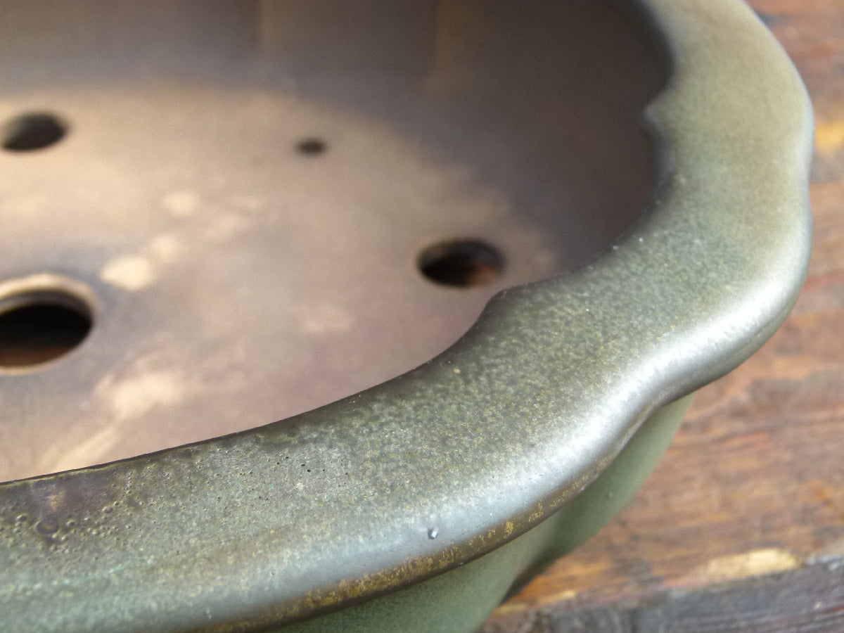 EXCEPTIONAL Oval Glazed Bonsai Pot by Master Zhu - 12"