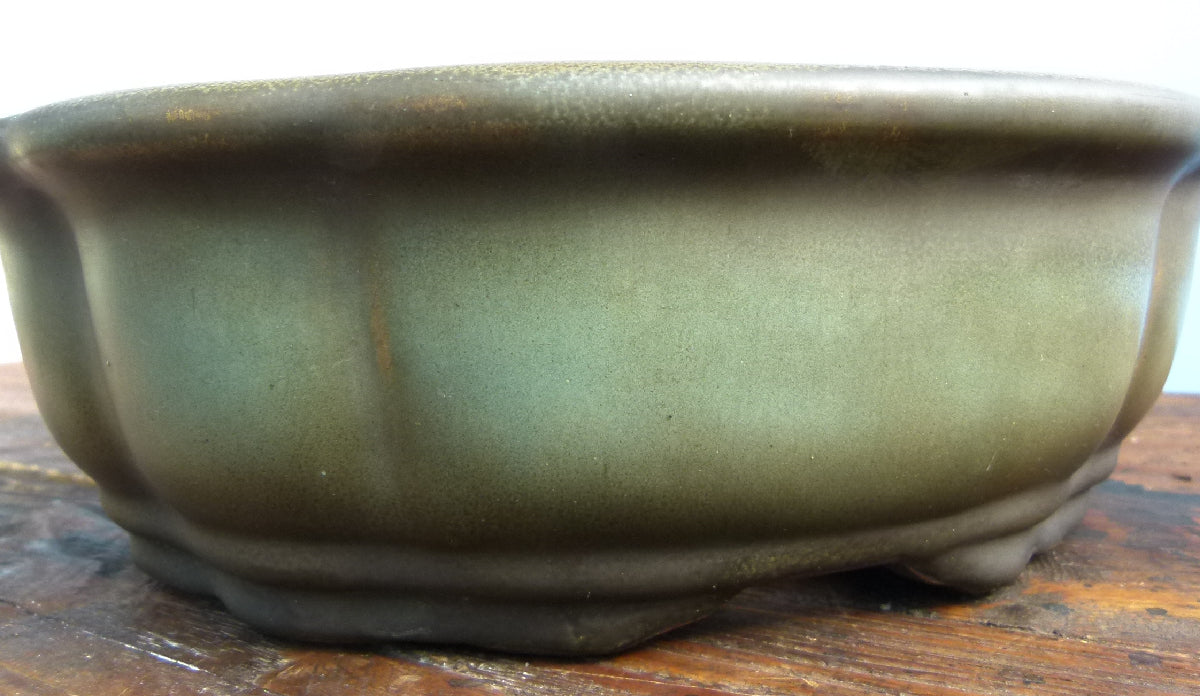 EXCEPTIONAL Oval Glazed Bonsai Pot by Master Zhu - 12"