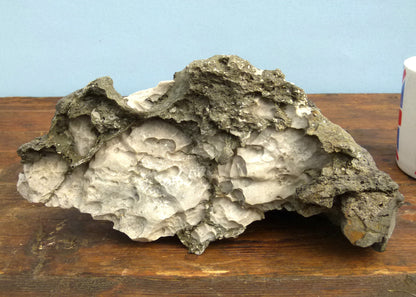 Japanese Ibigawa Rock, Bonsai Landscape Saikei