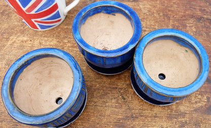 Used Glazed Bonsai Pots With Trays x 3 - CLEARANCE