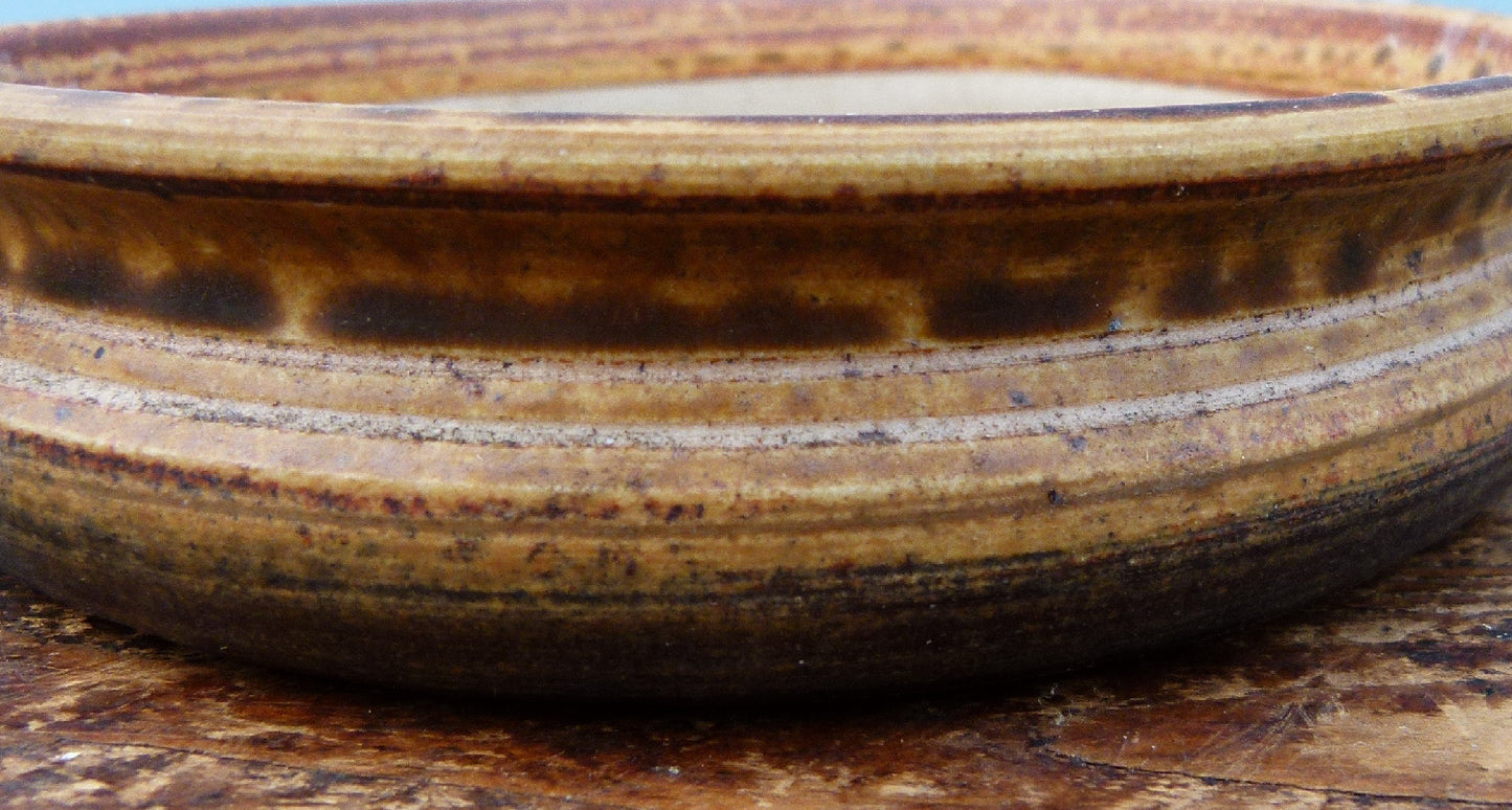 Used Glazed Bonsai Pots - Group of 5 Pots - CLEARANCE