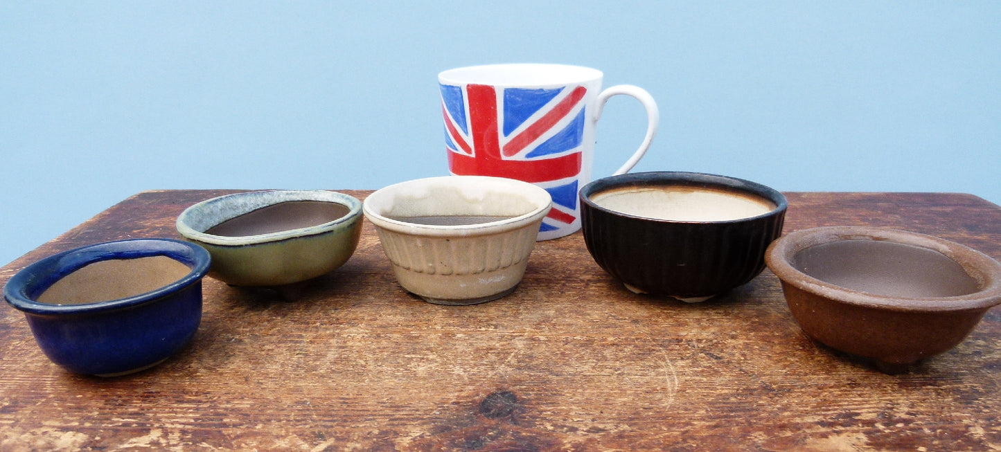 Japanese Glazed Small Bonsai Pots - Group of 5 Pots - CLEARANCE