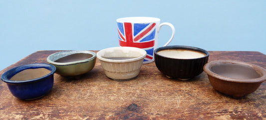 Japanese Glazed Small Bonsai Pots - Group of 5 Pots - CLEARANCE