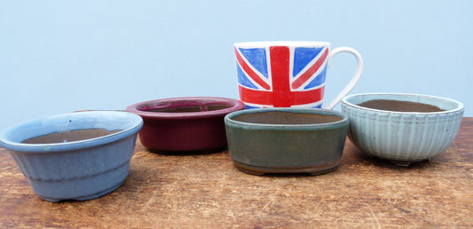 Japanese Glazed Small Bonsai Pots - Group of 5 Pots - CLEARANCE
