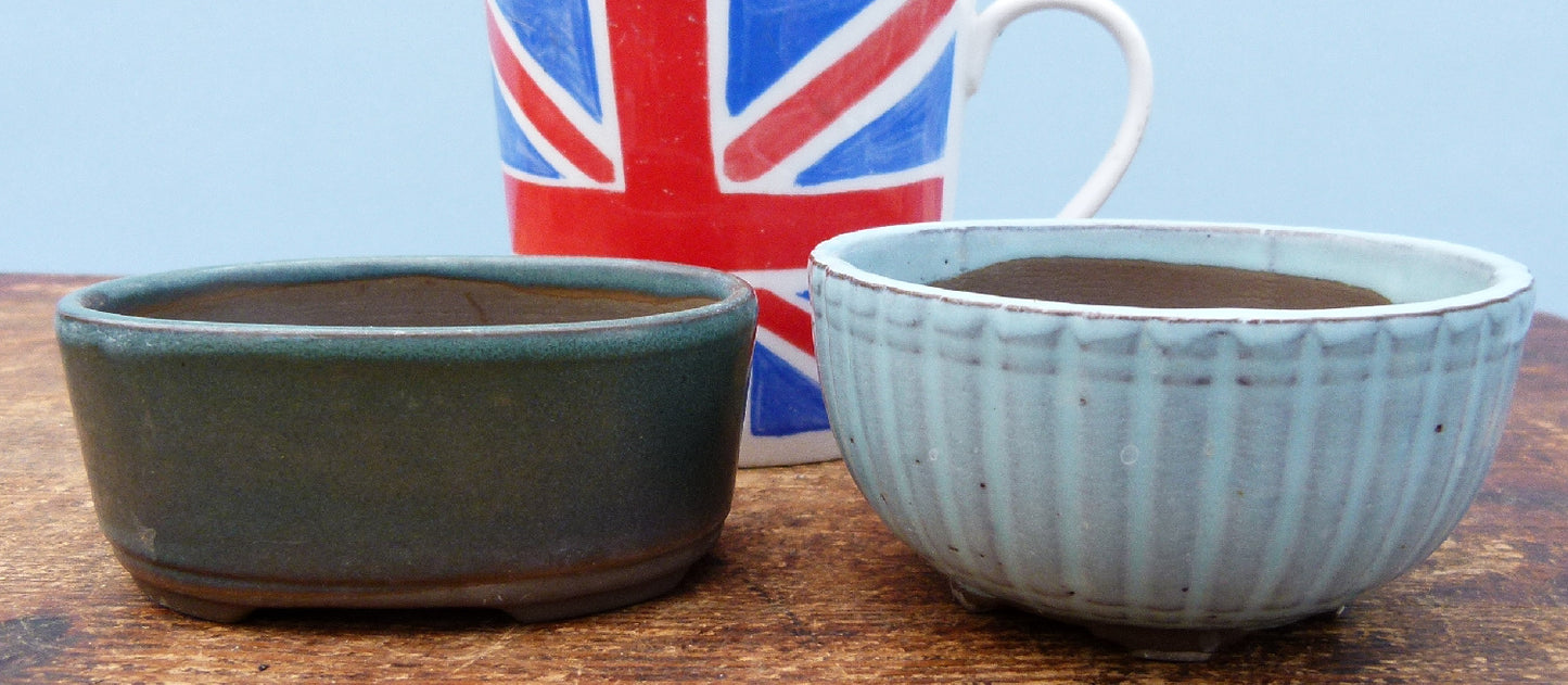 Japanese Glazed Small Bonsai Pots - Group of 4 Pots - CLEARANCE