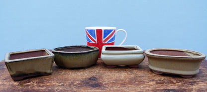 Used Glazed Bonsai Pots - Group of 4 Pots - CLEARANCE