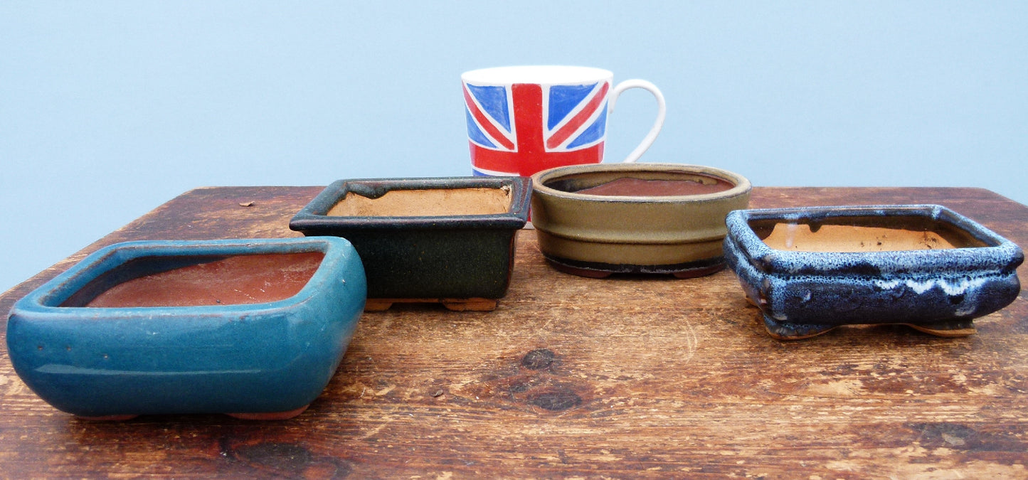 Used Glazed Bonsai Pots - Group of 4 Pots - CLEARANCE