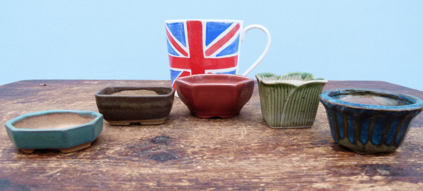 Miniature Glazed Small Bonsai Pots - Group of 5 Pots - CLEARANCE
